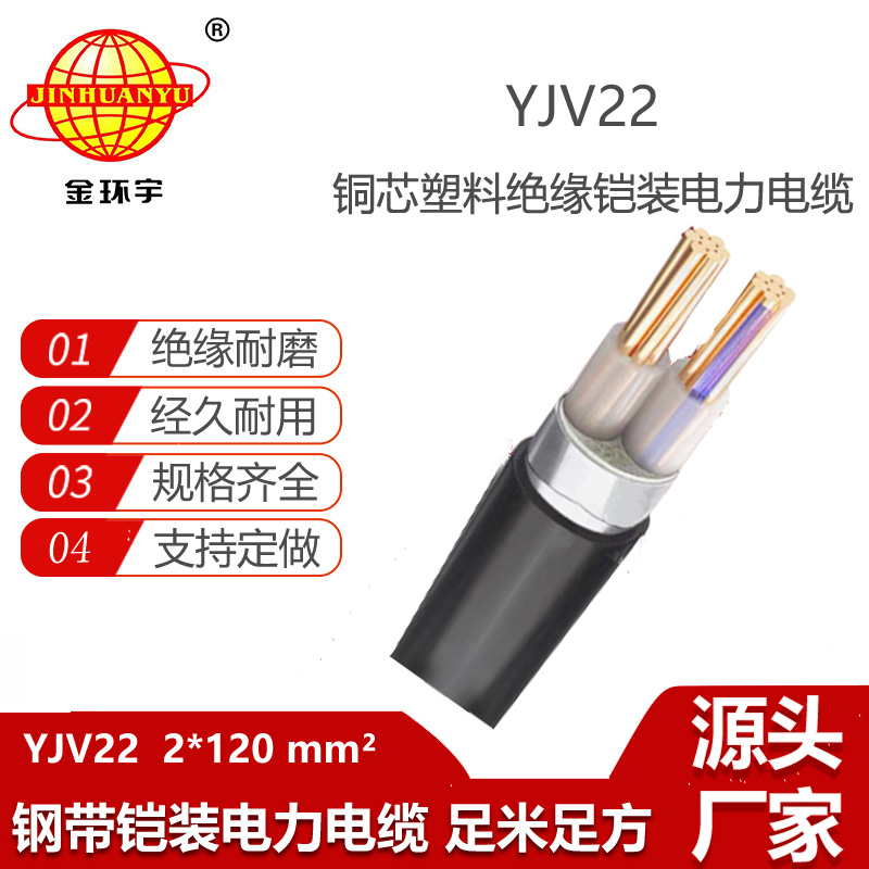 金環(huán)宇電纜 中低壓電纜YJV22 2X120平方 銅芯鎧裝埋地電力電纜