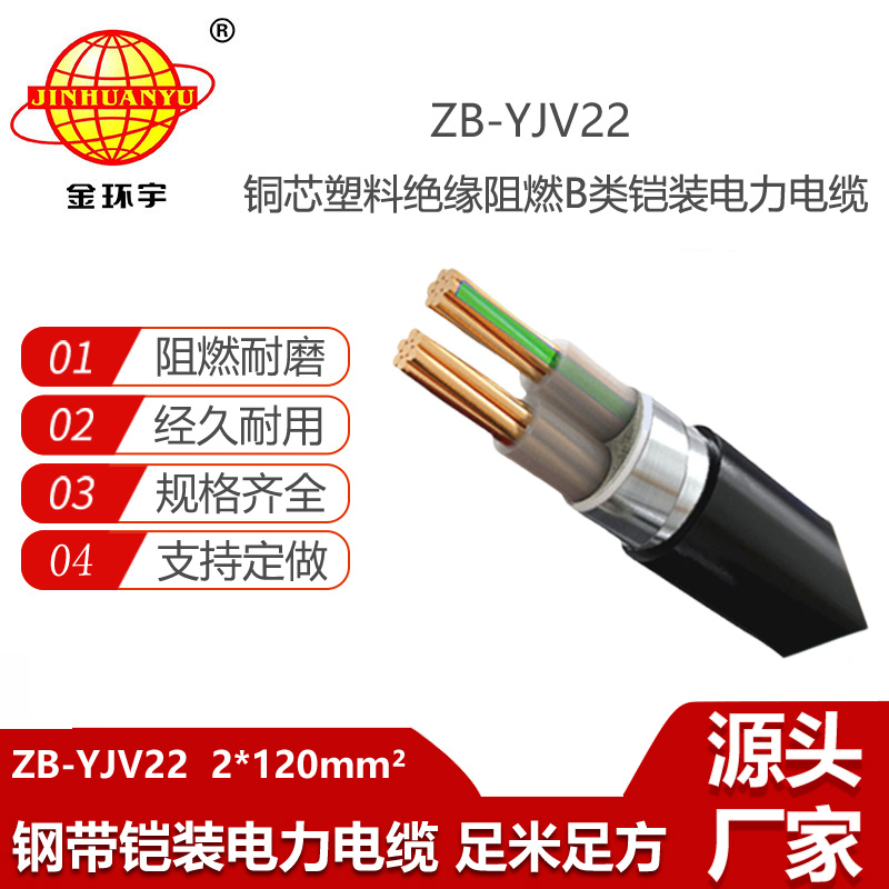 金環(huán)宇電線電纜 2芯鎧裝電纜 深圳阻燃鎧裝電纜ZB-YJV22-2X120平方