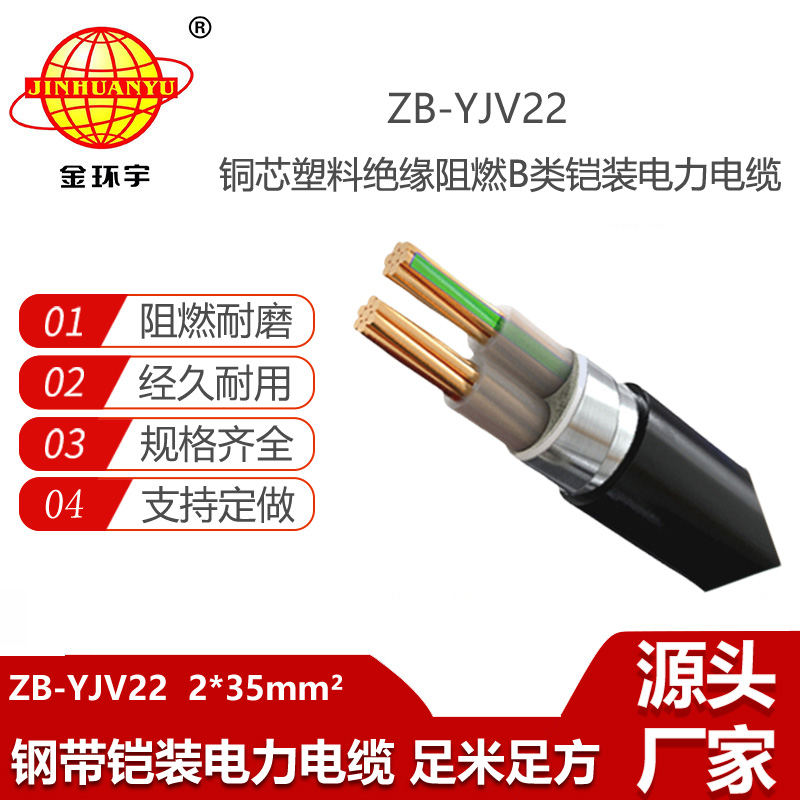 金環(huán)宇電線電纜 二芯yjv22電纜 ZB-YJV22-2X35平方 阻燃鎧裝電纜