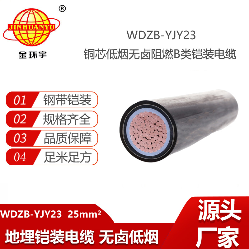 金環(huán)宇電纜 無鹵低煙阻燃電纜WDZB-YJY23-25平方 單芯鎧裝電纜