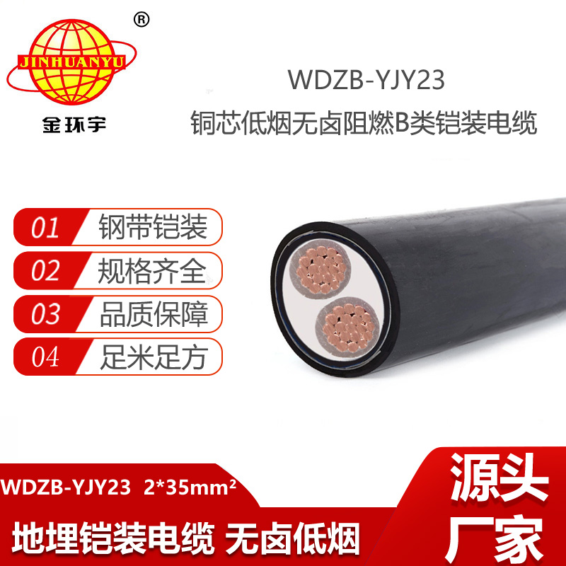 金環(huán)宇電線電纜 WDZB-YJY23-2X35平方 交聯(lián)低煙無(wú)鹵電纜 阻燃電力電纜