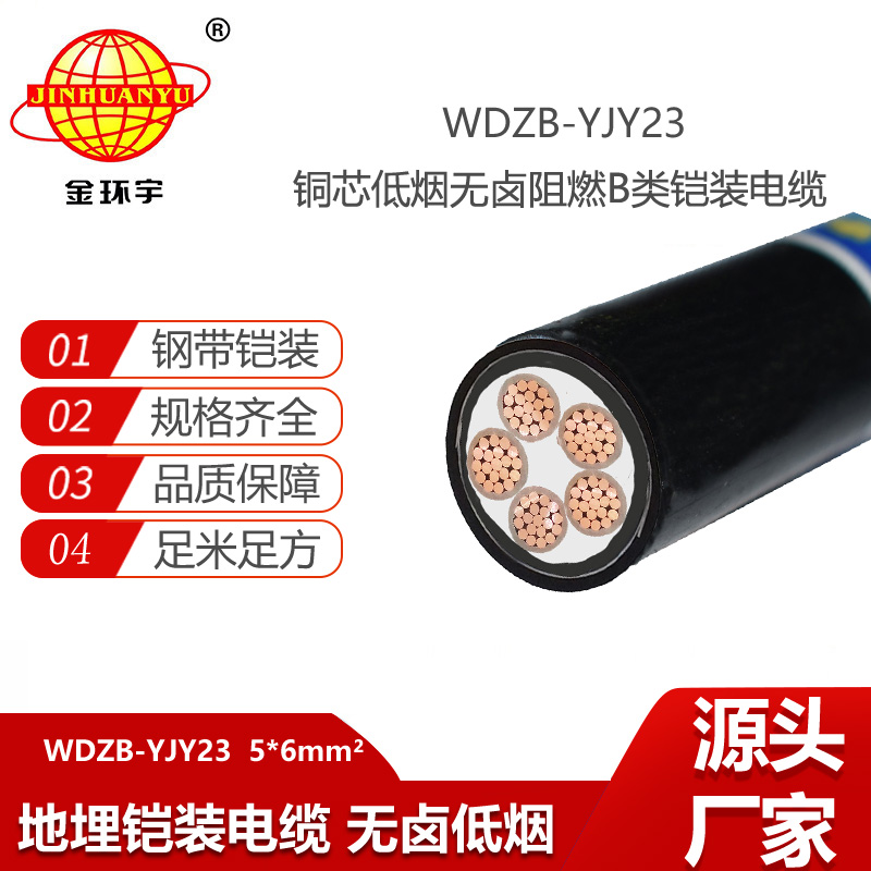 金環(huán)宇電線電纜 阻燃電力電纜 低煙無(wú)鹵鋼帶鎧裝電纜WDZB-YJY23-5X6平方