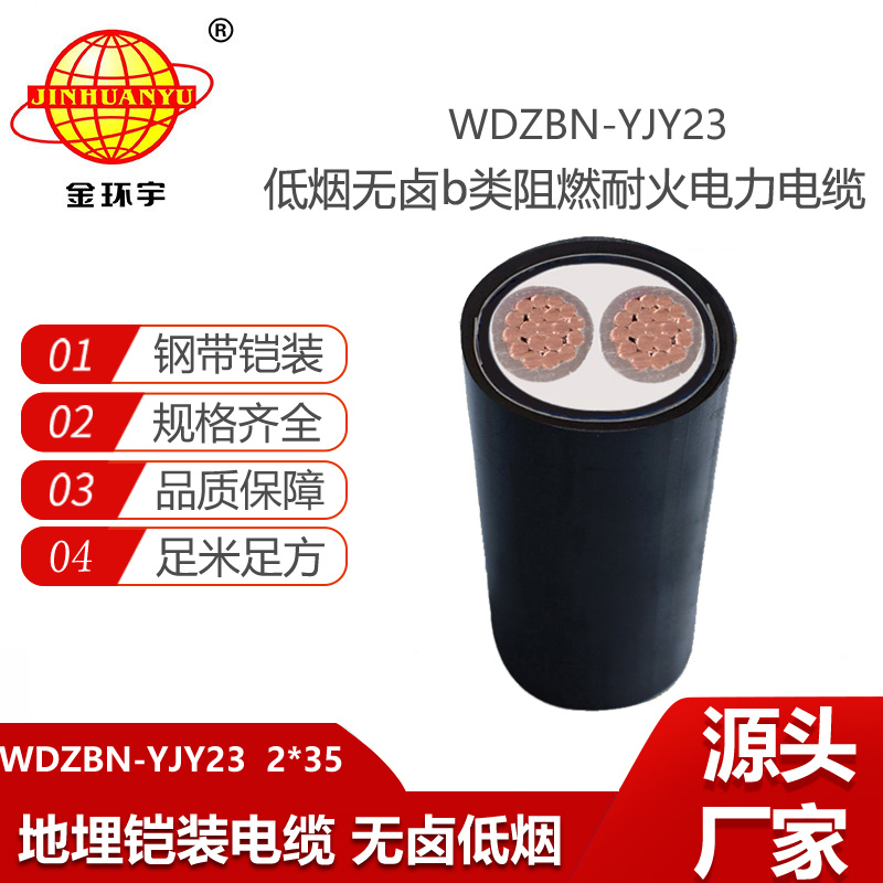 金環(huán)宇電線電纜 b類阻燃耐火低煙無鹵電纜WDZBN-YJY23-2x35平方 2芯鎧裝電纜