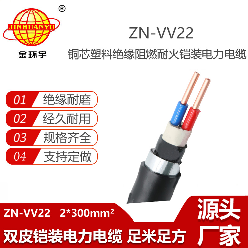 金環(huán)宇電線電纜 二芯阻燃耐火電纜ZN-VV22-2X300平方vv22低壓鎧裝電纜